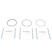 BMW Piston Ring Set - Mahle/Behr 11251713192