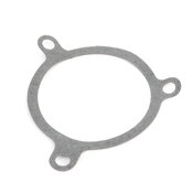 BMW Water Pump - Saleri 11519071561