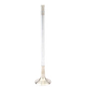 VW Exhaust Valve - TRW 022109611AC