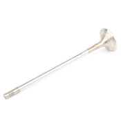 VW Exhaust Valve - TRW 022109611AC