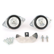 BMW Engine Mount Kit (80A Durometer) - Revshift PMMN5X80A