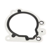 VW Fuel Pump Tank Seal - Elring 246.460