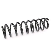 Audi Coil Spring Rear (A4 Quattro S4) - Febi 46901