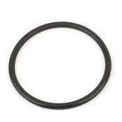 Audi VW Coolant Thermostat Seal - Reinz 06B121119B