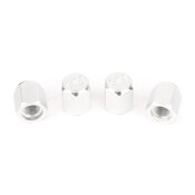 BMW Valve Stem Caps (Silver) - Dinan D757-0008
