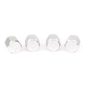 BMW Valve Stem Caps (Silver) - Dinan D757-0008
