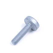 Audi Belt Tensioner Bolt - Genuine Audi WHT008066