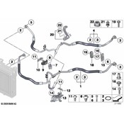 BMW O-Ring - Genuine BMW 17227604291