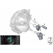 BMW Fog Light Screw - Genuine BMW 07129905835
