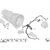 BMW Battery Cable Nut - Genuine BMW 12528583524