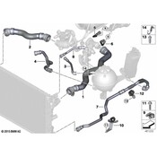 BMW Radiator Coolant Hose - Genuine BMW 17128572905
