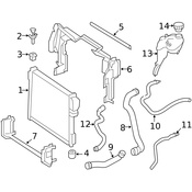Mercedes Radiator Coolant Hose   - Genuine Mercedes 2215013982