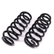 BMW Coil Spring Conversion Kit (Rear) - Arnott C-5689