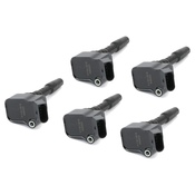 Audi Ignition Coil Kit - Eldor 750990020KT3