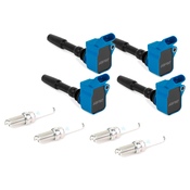 Audi Ignition Tune-Up Kit - APR MS100204KT