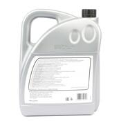Audi VW DSG Transmission Fluid (5 Liter) - Febi Bilstein G052182A25L