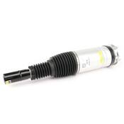 Land Rover Suspension Air Strut Assembly - Dunlop LR087081