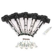 VW Ignition Coil & Spark Plug Service Kit - Bremi KIT-03016