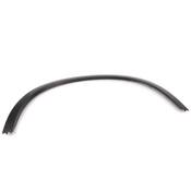 Volvo Wheel Arch Molding - Genuine Volvo 39790044