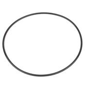 Mercedes Transmission Oil Pump O-Ring - DPH 0169971448