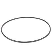 Mercedes Transmission Oil Pump O-Ring - DPH 0169971448