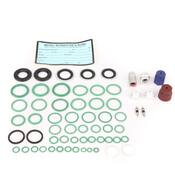 A/C System Retrofit Kit - Santech 559807901