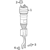 Mercedes Suspension Strut Nut -  Genuine Mercedes 000000008301