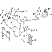 Mercedes Radiator Coolant Hose - Genuine Mercedes 1665010700