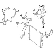 Mercedes Engine Coolant Overflow Hose - Genuine Mercedes 1675018201