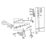 Mercedes Coil Spring - Genuine Mercedes 1703210304