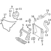 Mercedes Radiator Insulator -  Genuine Mercedes 2115040312