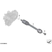 BMW Axle Bolt - Genuine BMW 31206866022