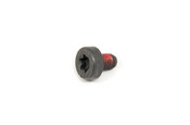 Volvo Six Point Socket Screw - Genuine Volvo 979671